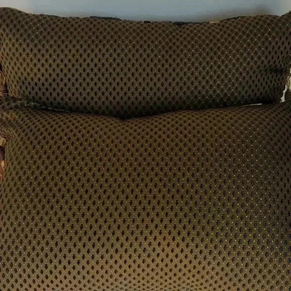 Croscill home pillows 19 x 13 Pair - Picture 4 of 11